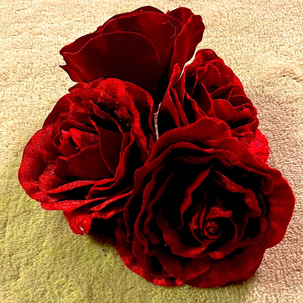 Elegant Red Velvet Floral Accessory 4 for $16